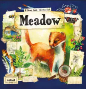 Meadow | Na louce